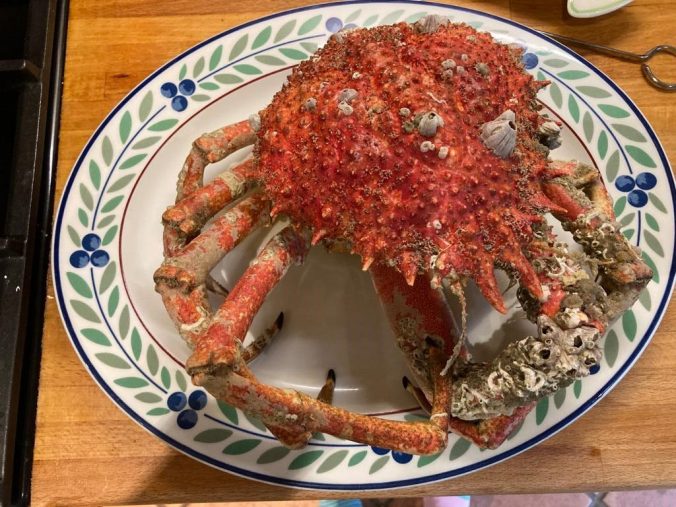 Spider crab recipe